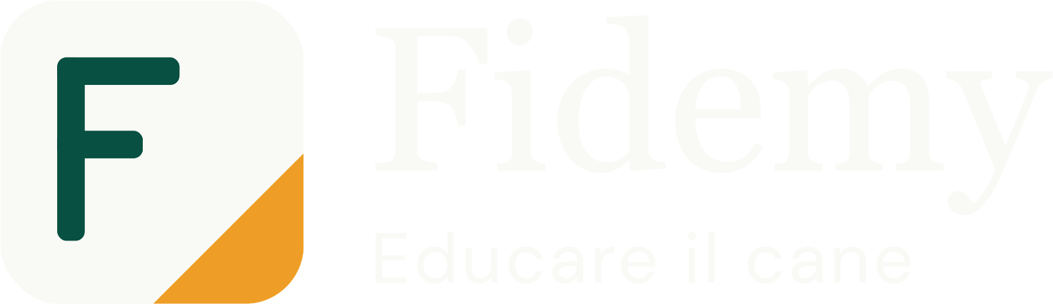 Fidemy