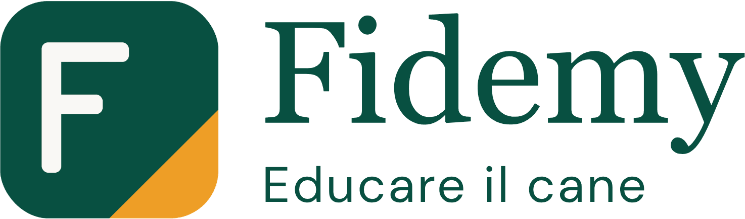 Fidemy