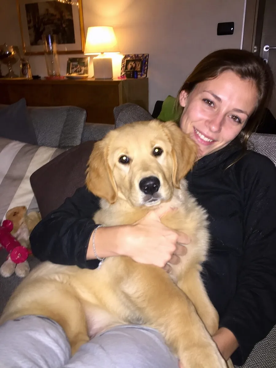 Cucciolo di Golden Retriever, recensione del percorso Fidemy sul mordicchiamento