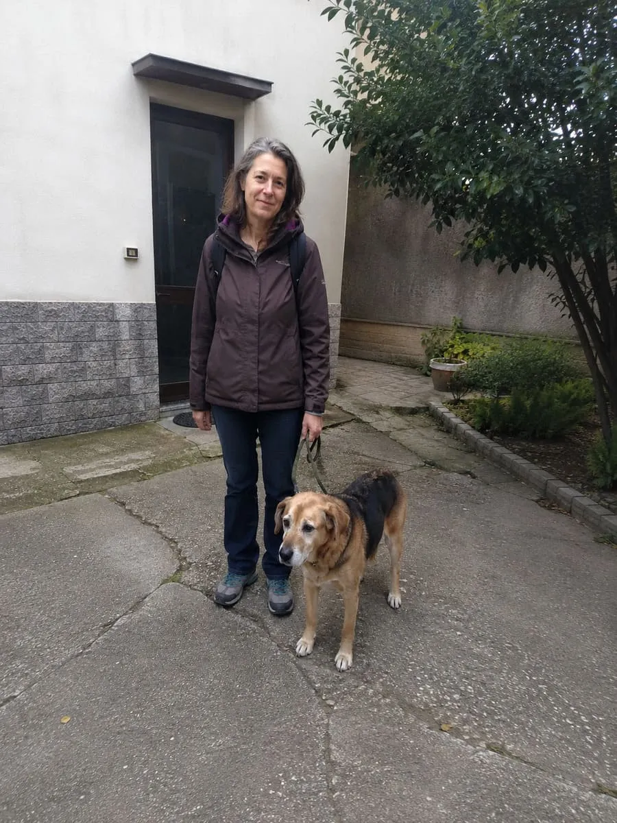 Cane meticcio anziano, recensione del percorso Fidemy sulle paure del cane